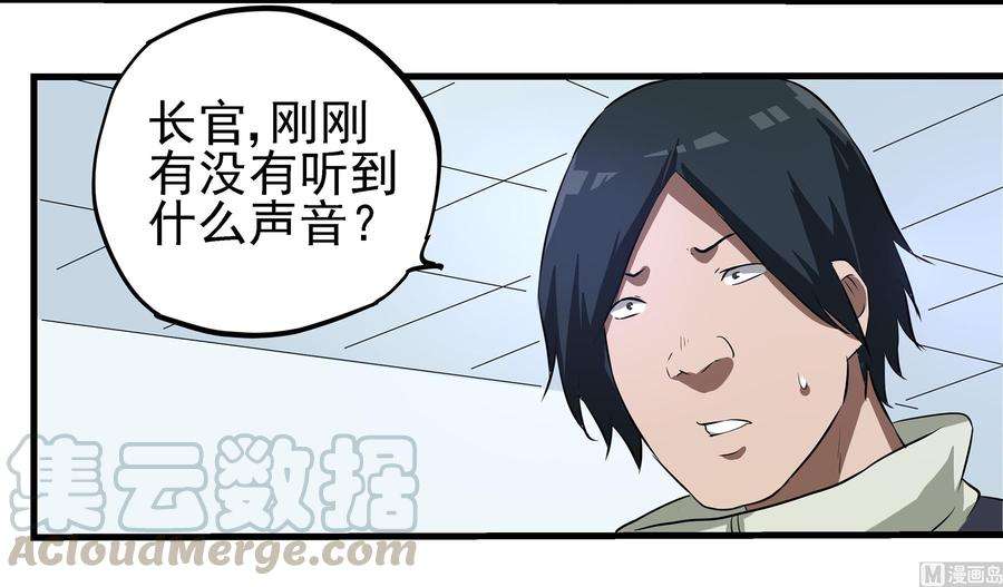 41.jpg