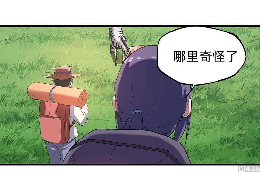 14.jpg