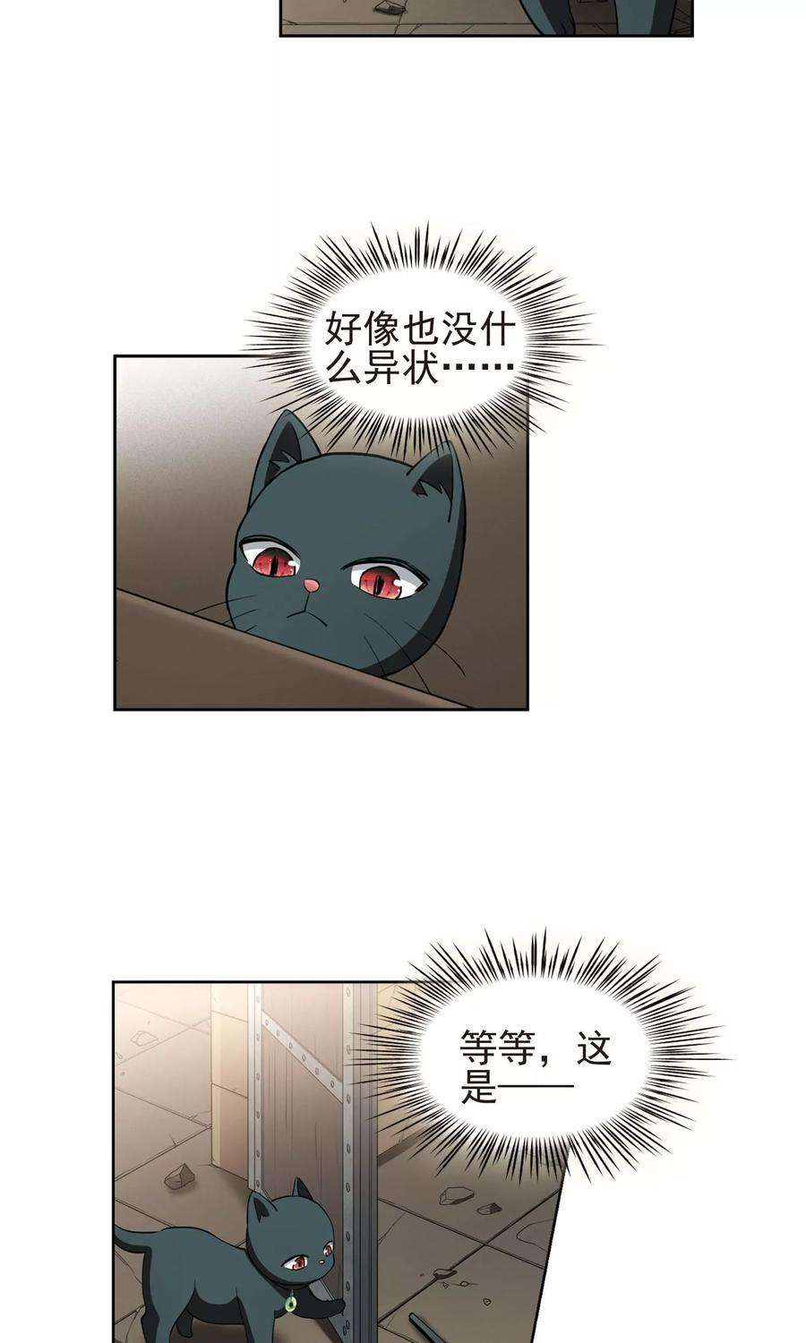 15.jpg