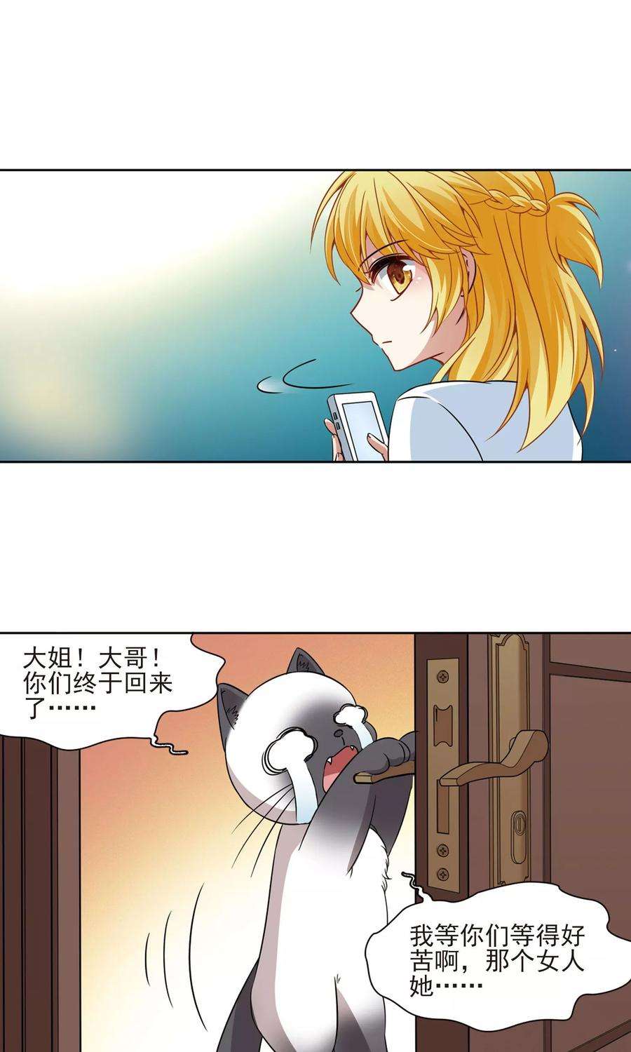 5.jpg