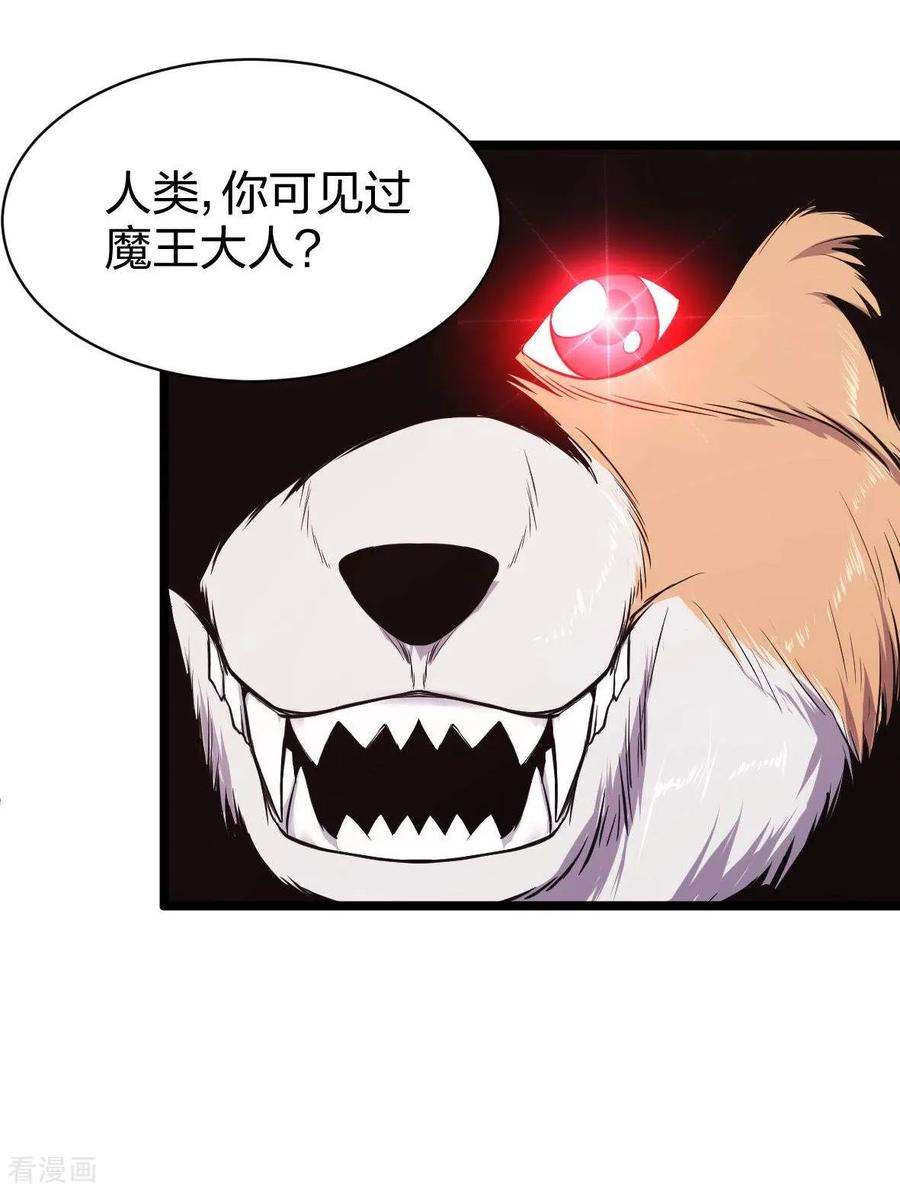 19.jpg
