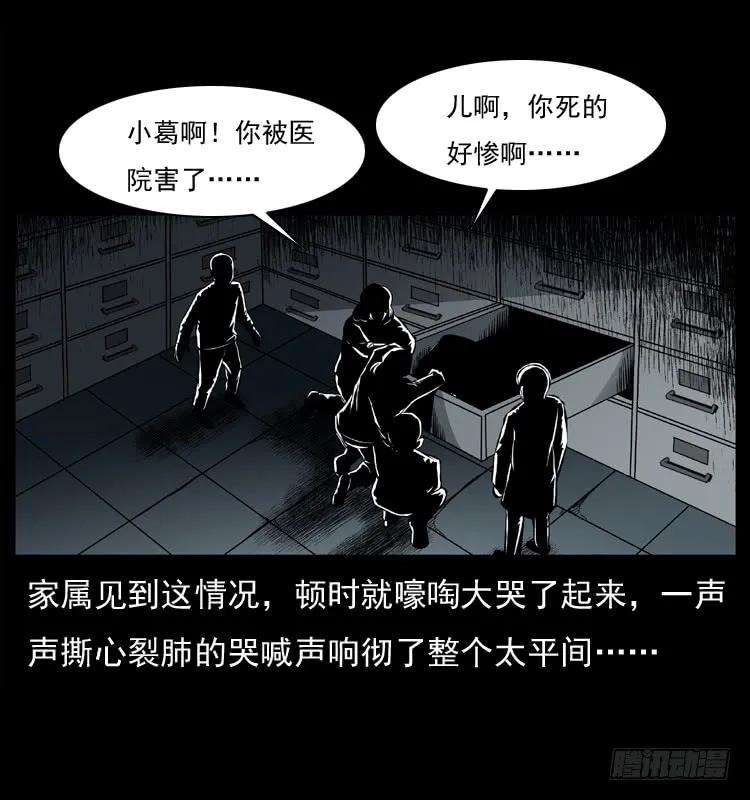 63.jpg