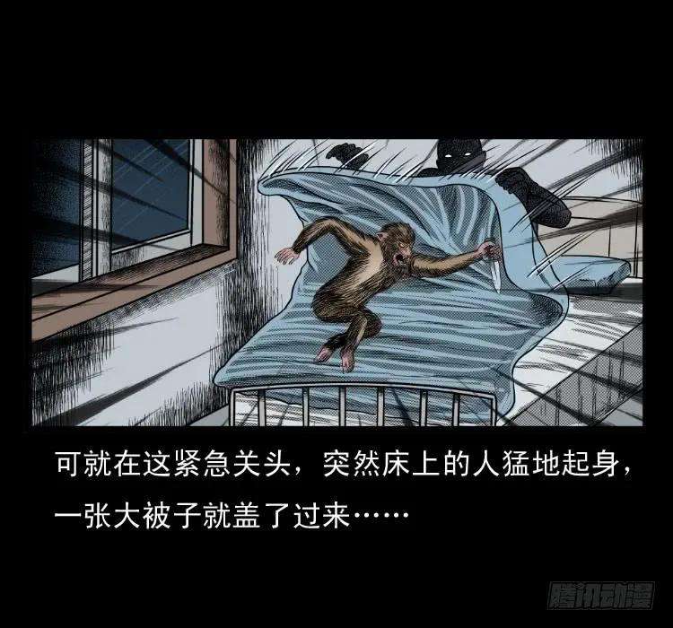 46.jpg