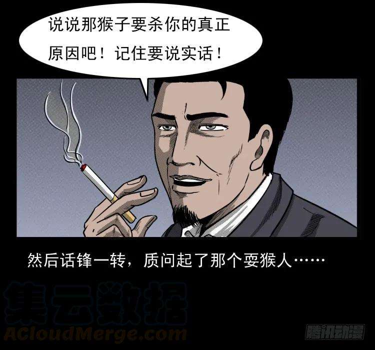 53.jpg