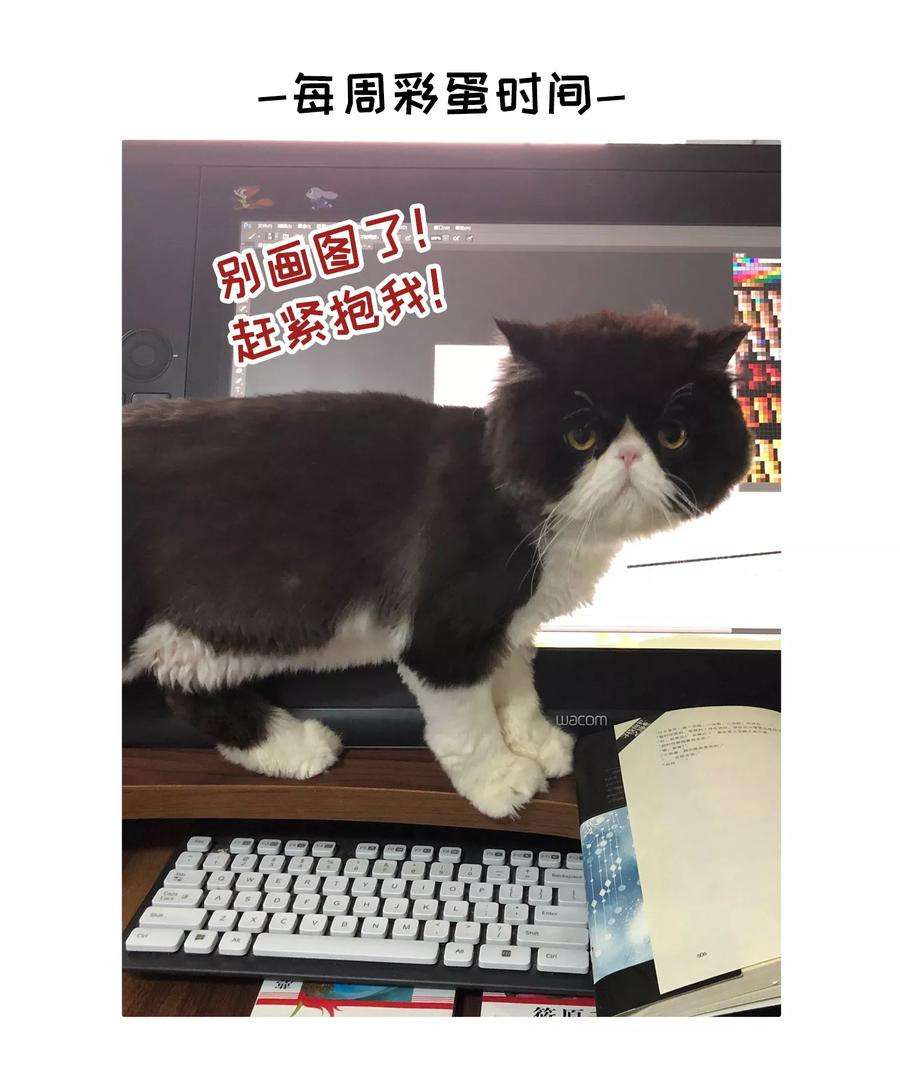 28.jpg