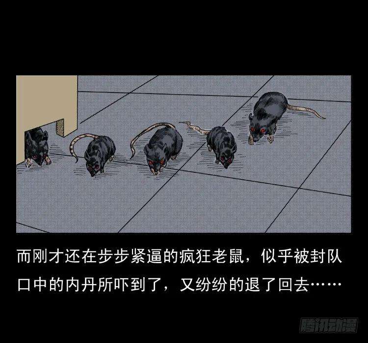66.jpg