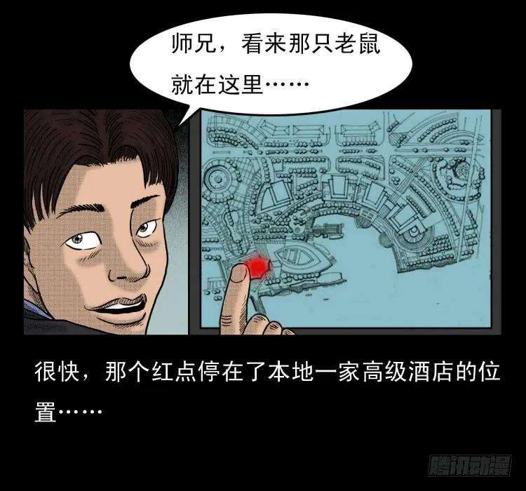 43.jpg