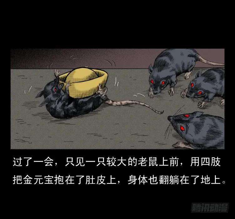 20.jpg
