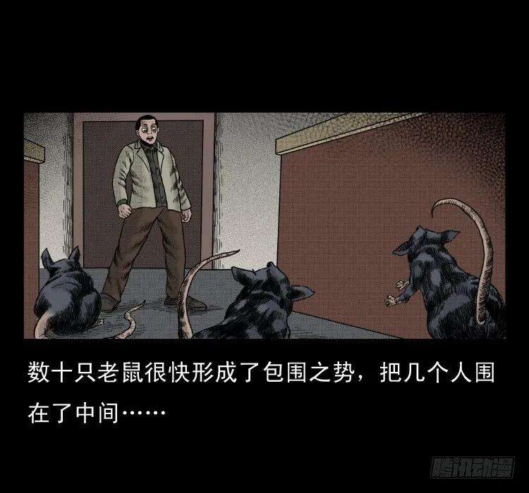 60.jpg