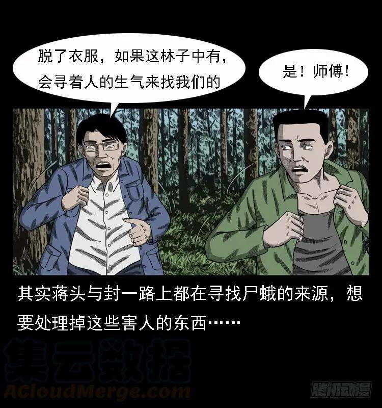 37.jpg