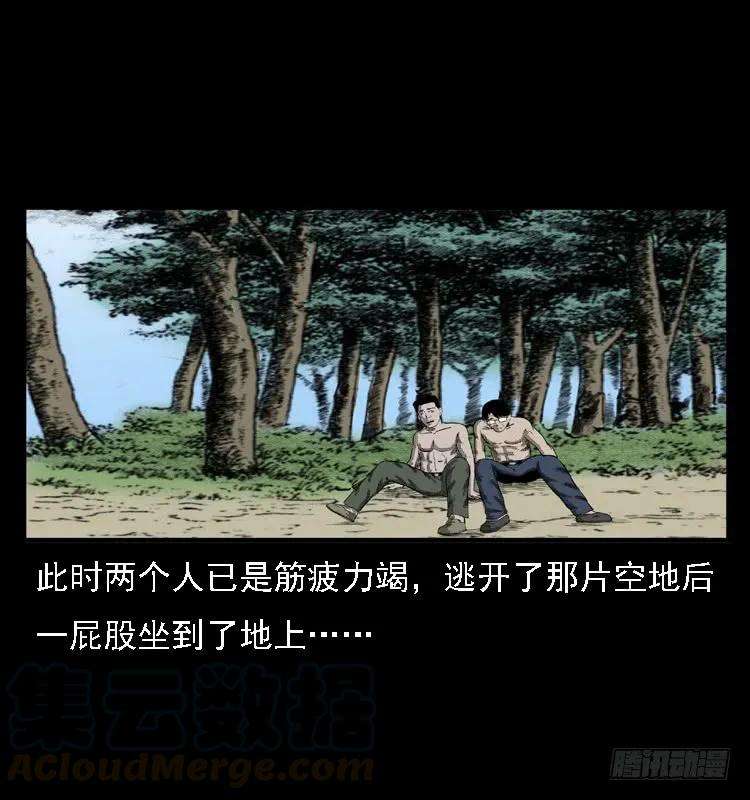77.jpg