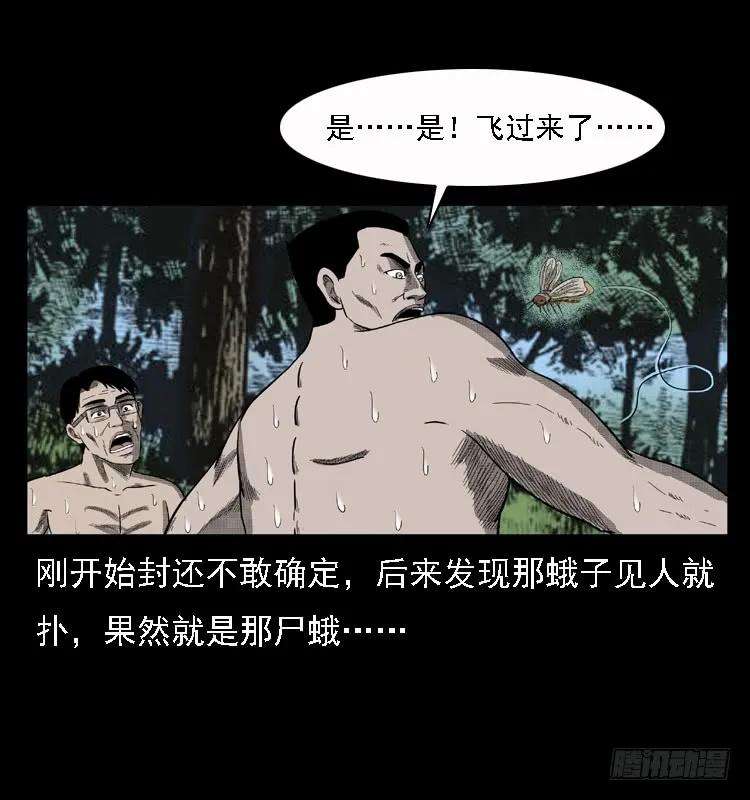 40.jpg