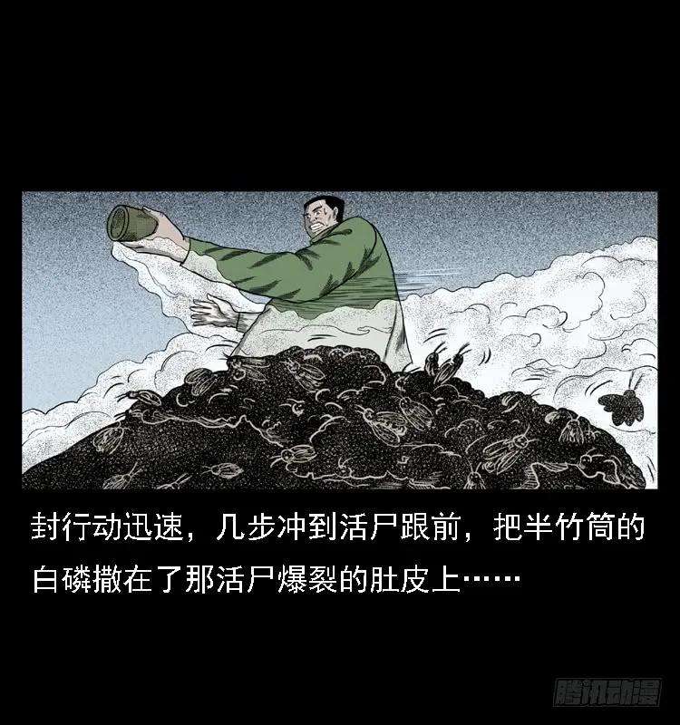 66.jpg