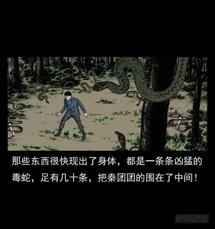 43.jpg