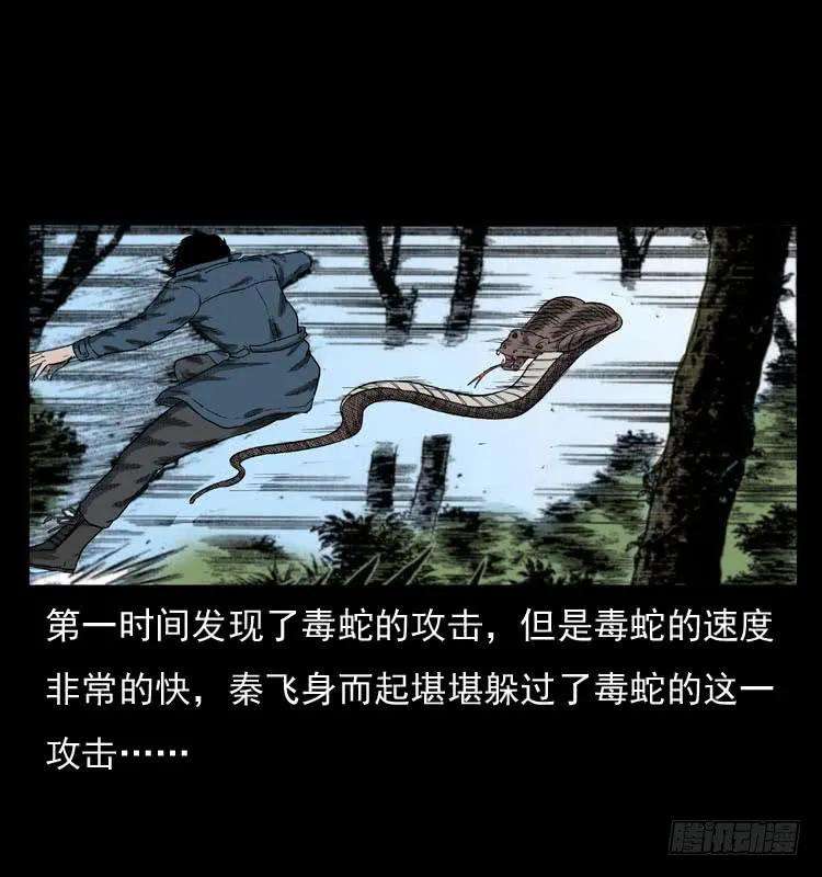39.jpg