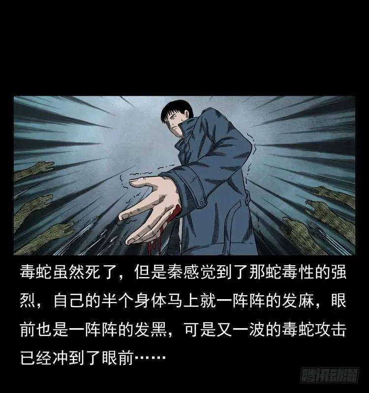 47.jpg