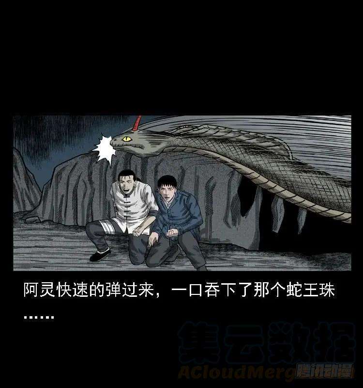 96.jpg