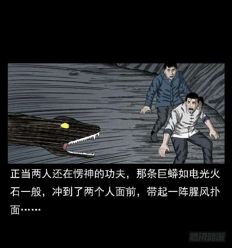 58.jpg