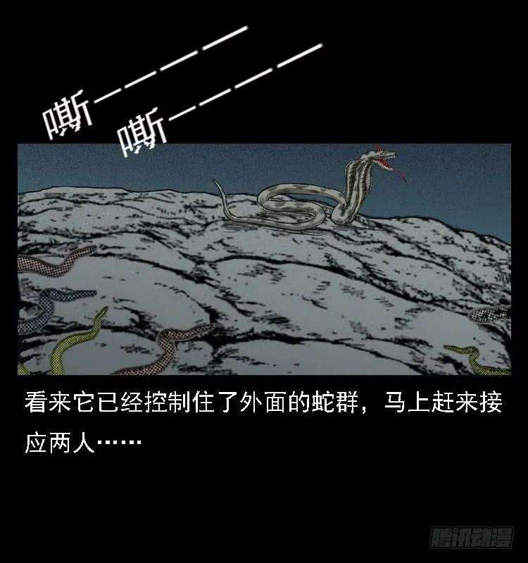 48.jpg