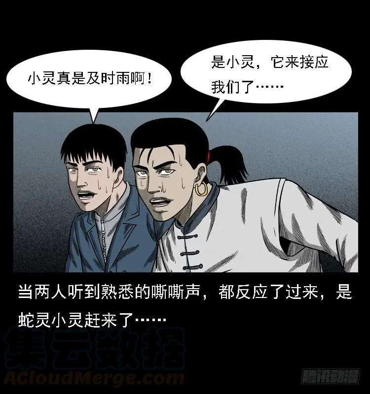 46.jpg