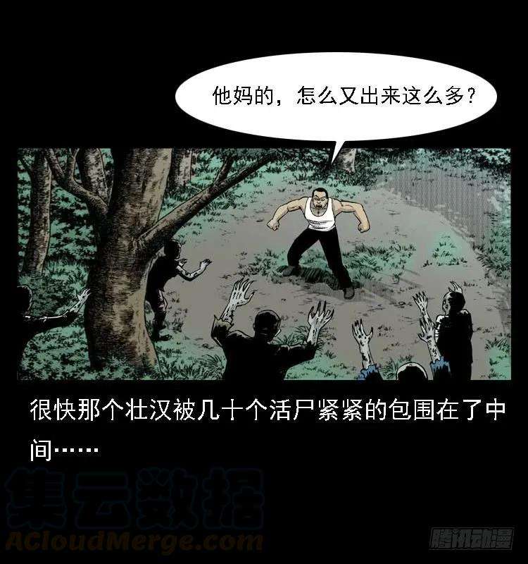 41.jpg