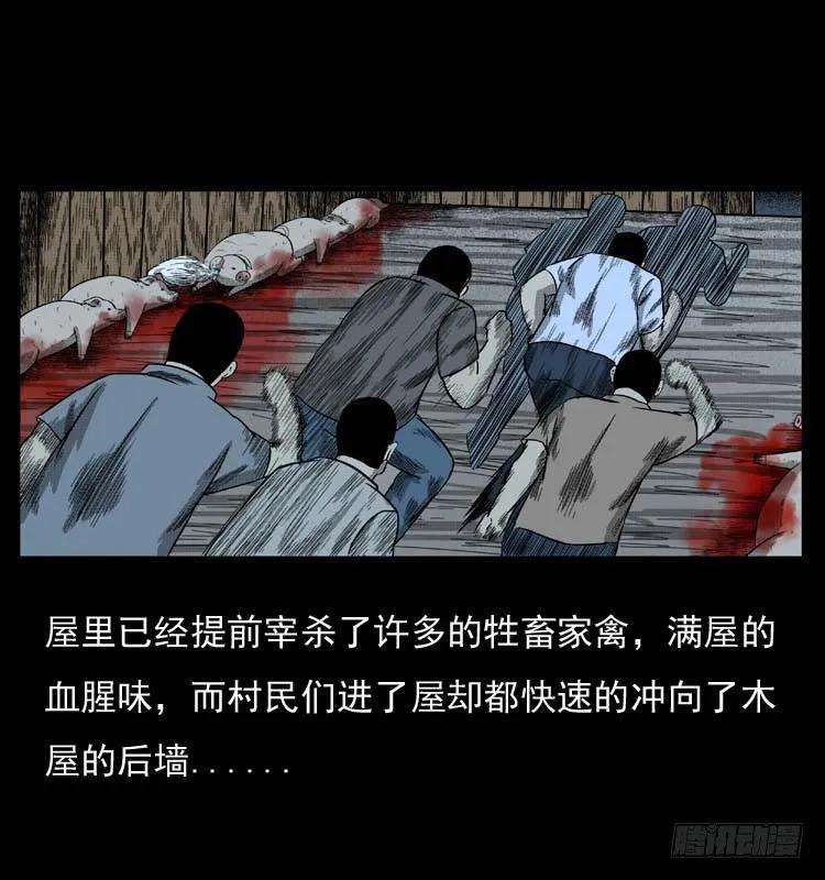 78.jpg