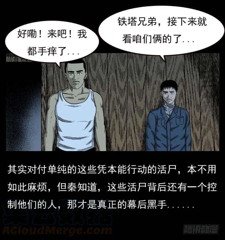 81.jpg