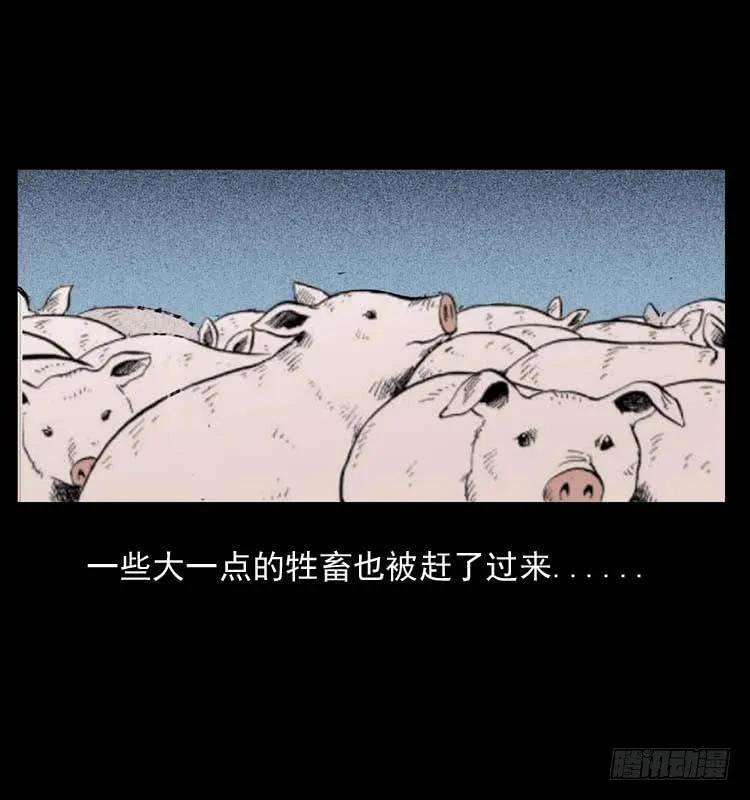 58.jpg