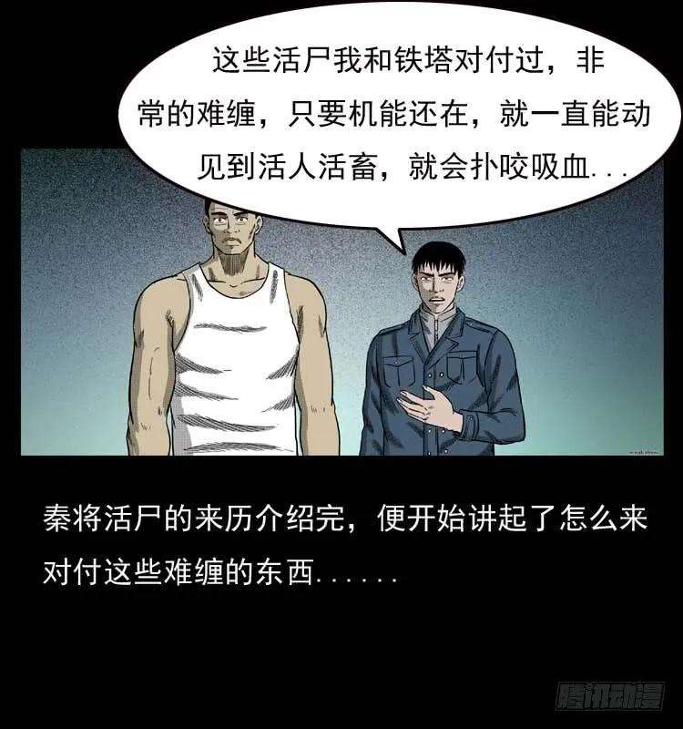 47.jpg