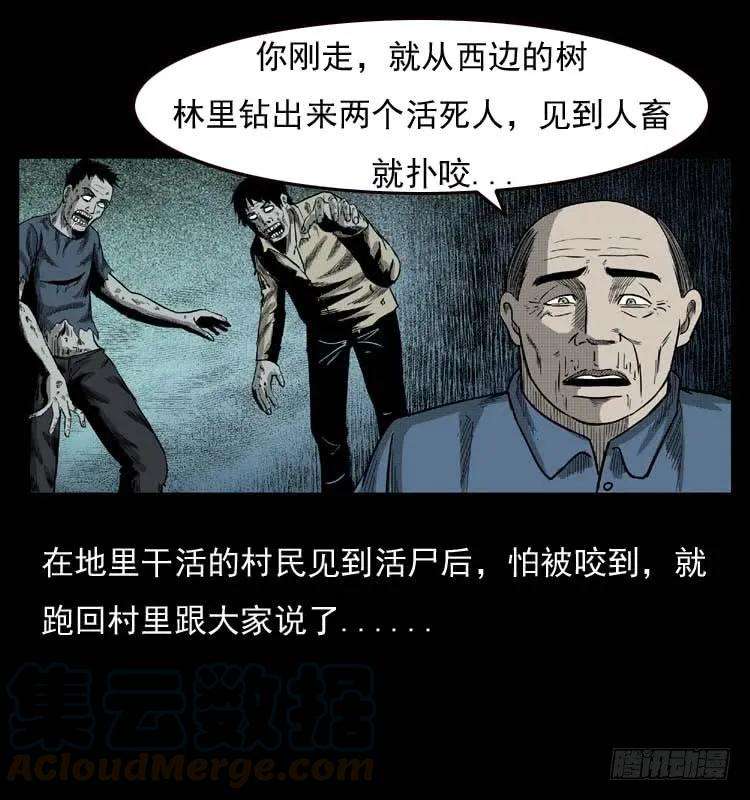 25.jpg