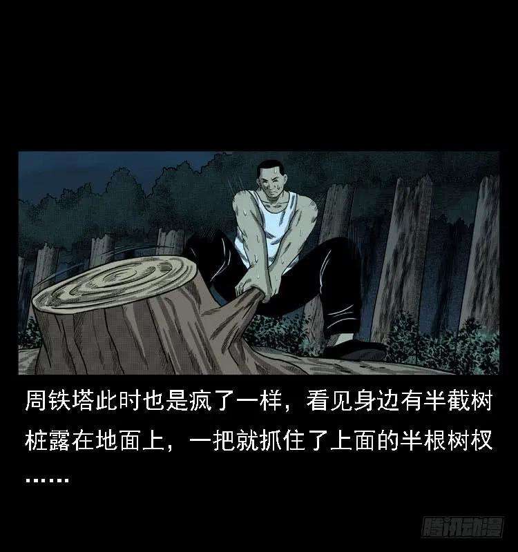 48.jpg