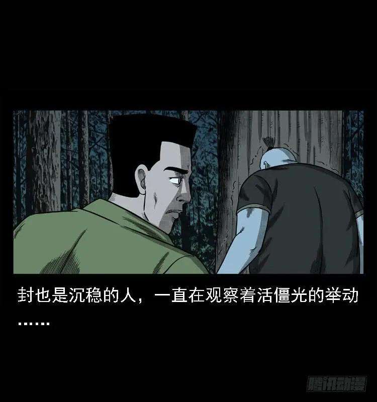 31.jpg