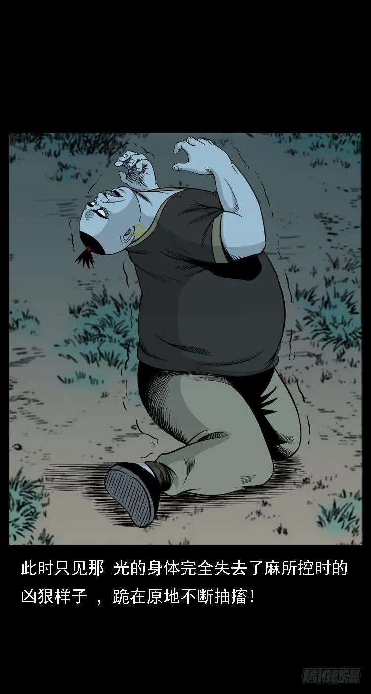 66.jpg