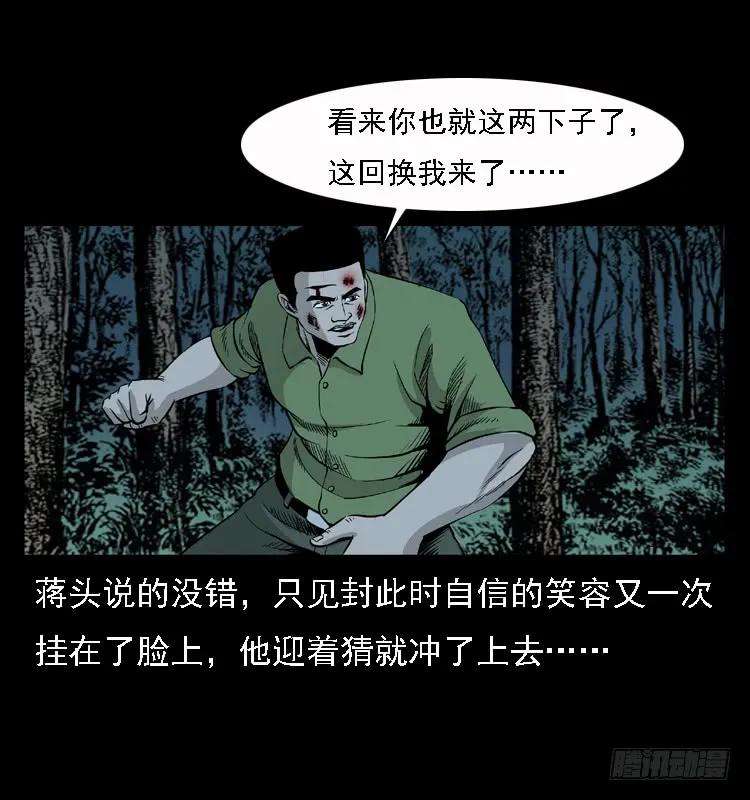 31.jpg