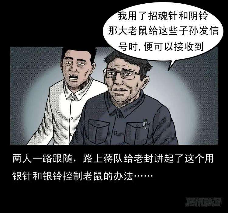 54.jpg