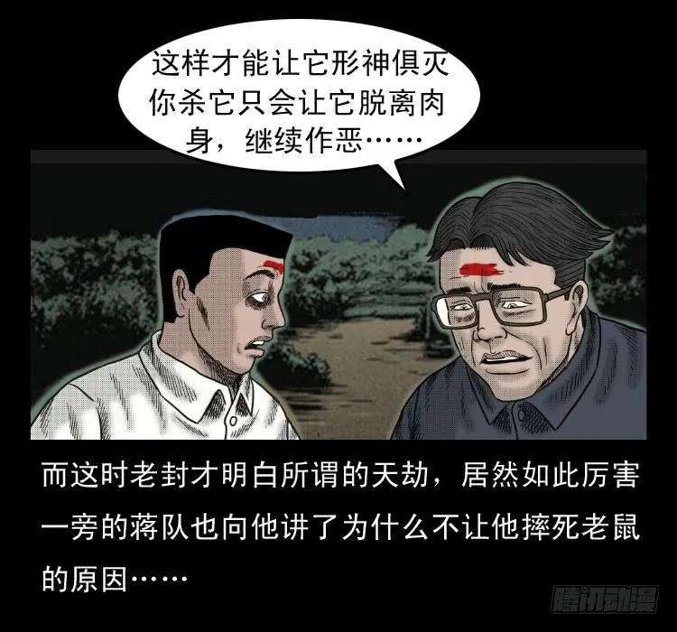 79.jpg