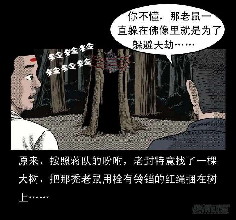 71.jpg
