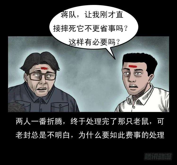 70.jpg