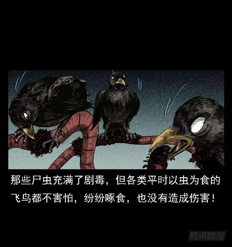 72.jpg