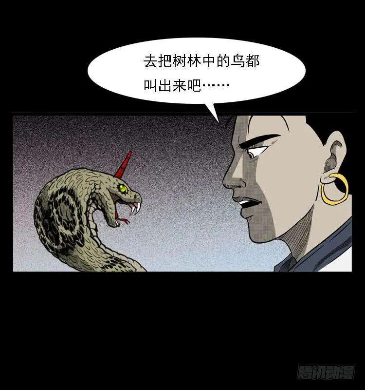 63.jpg