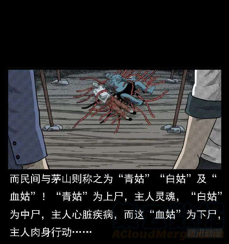 81.jpg