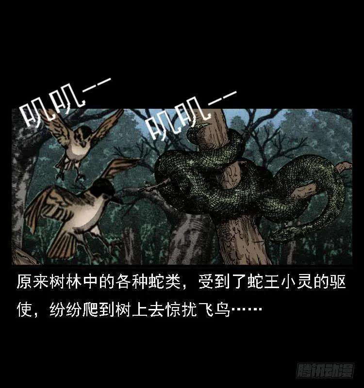 66.jpg