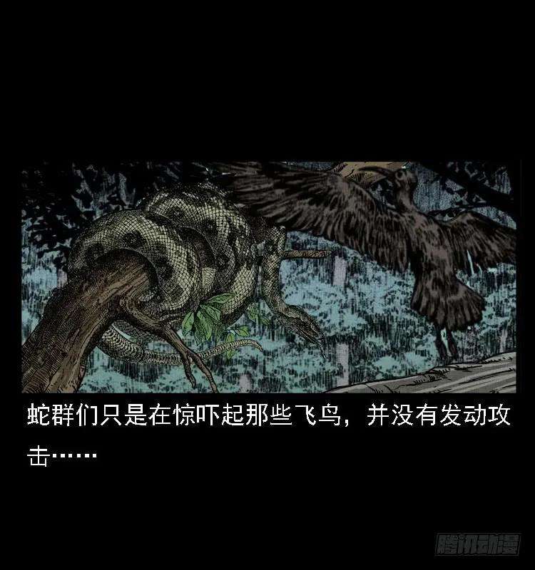 67.jpg