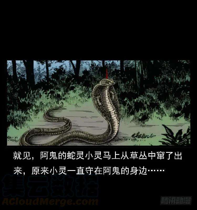 61.jpg