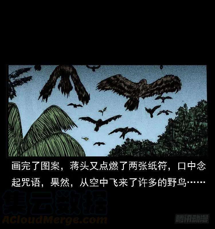 53.jpg