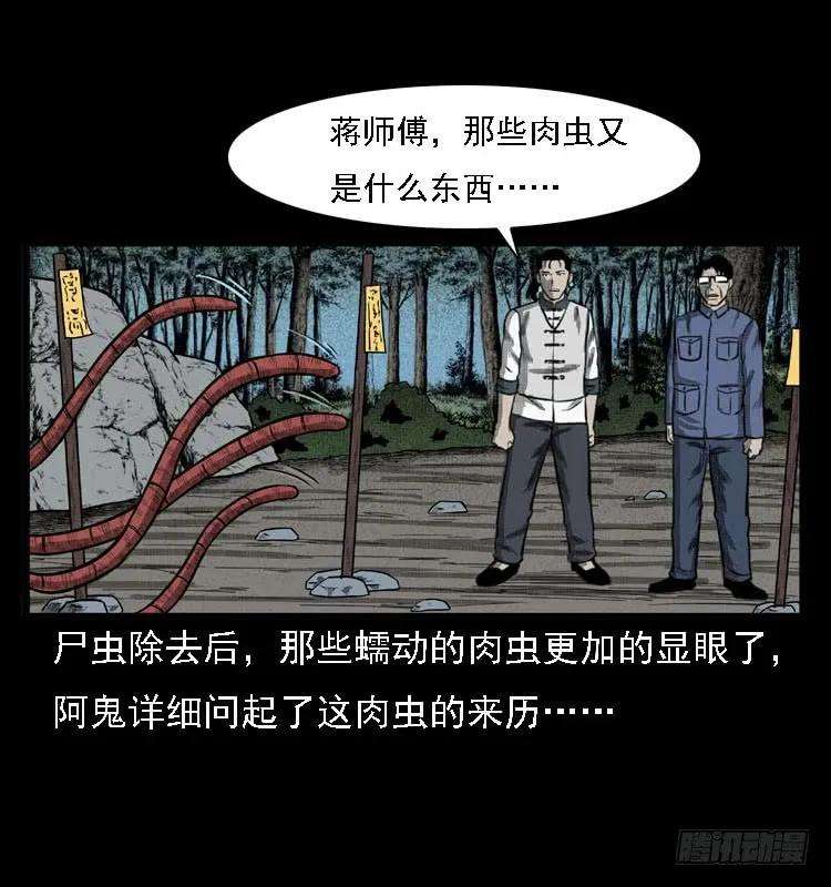 79.jpg