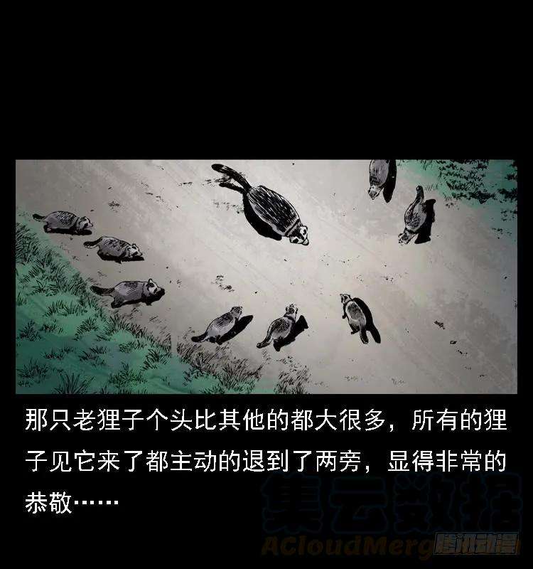 49.jpg