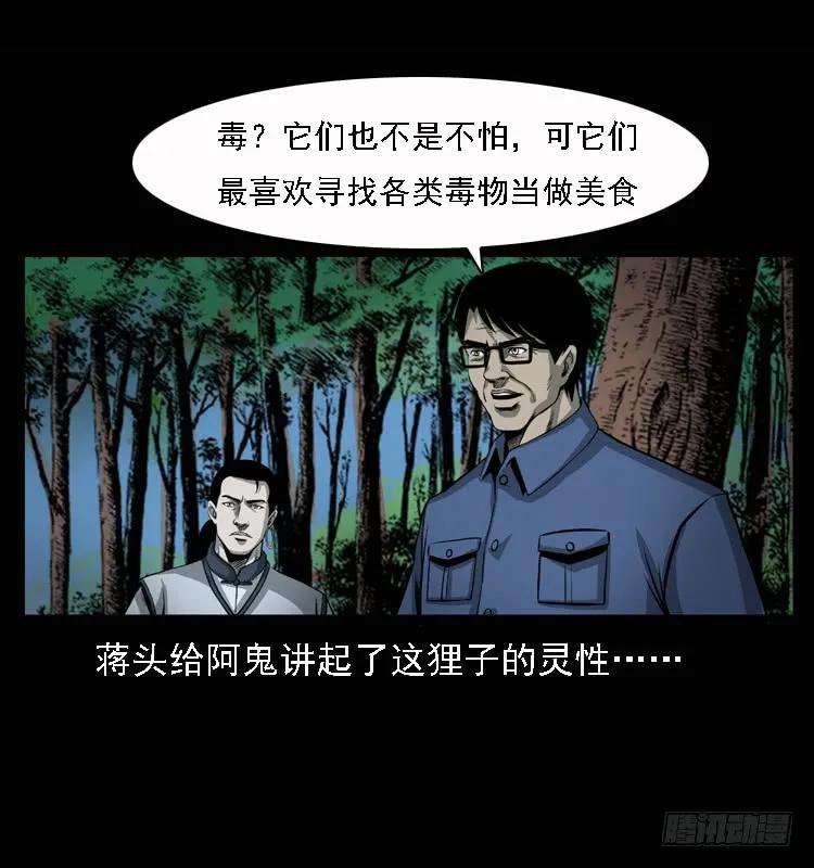 18.jpg