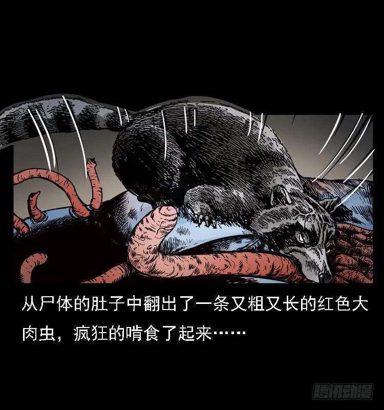 51.jpg