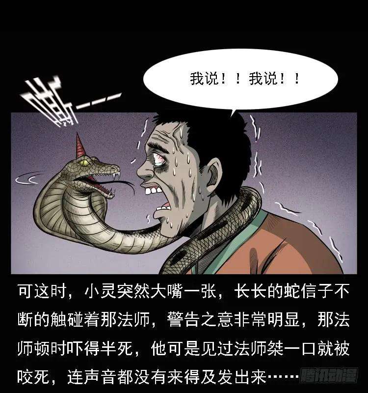 51.jpg